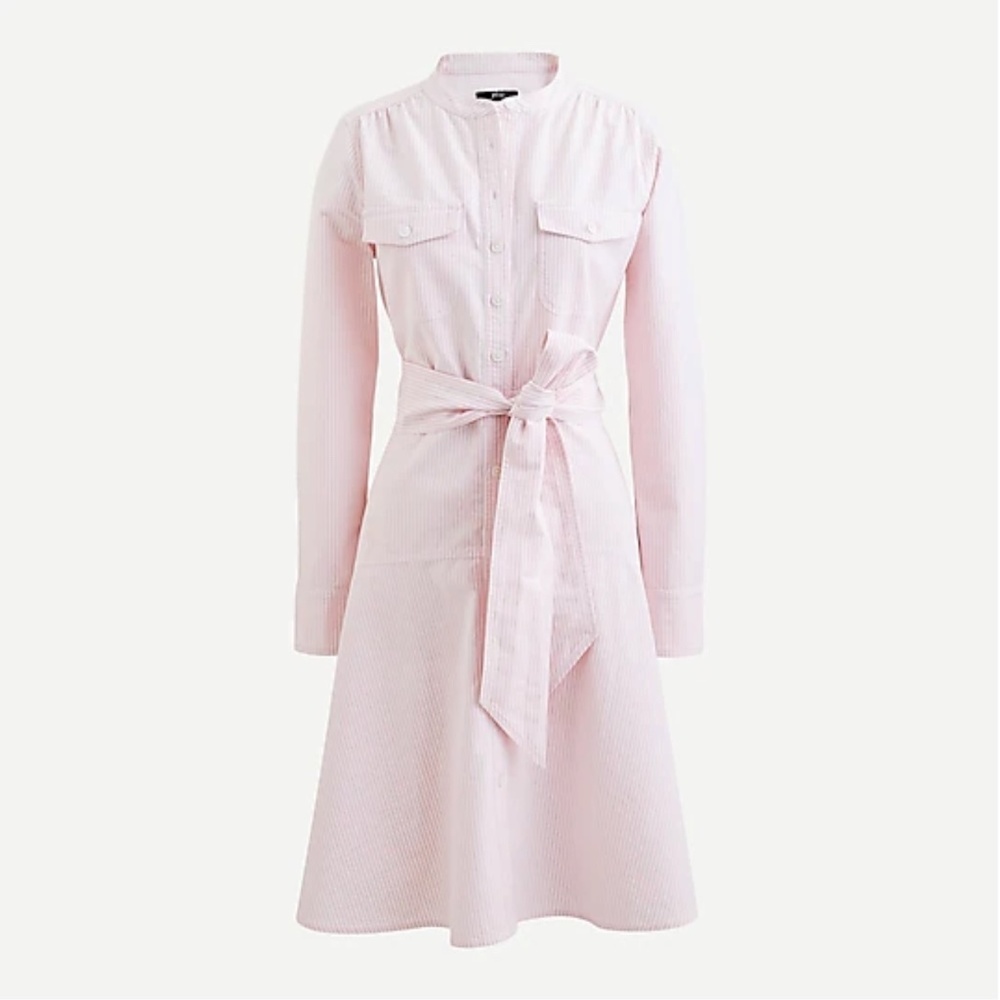 J. Crew NWT Oxford cotton A-line shirtdress in cool white/pink. Sz 18.